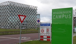 Advies over wijzigingen lijn 88 ivm busbaan campus